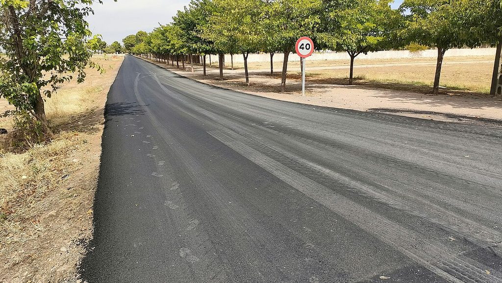 camino cementerio argamasilla 2