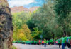 La Asociación celebra su XI edición de la ‘Marcha contra el cáncer’ en Cuenca el 27 de Septiembre La Asociación celebra su XI edición de la ‘Marcha contra el cáncer’ en Cuenca el 27 de Septiembre