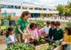 Tomelloso busca talento ambiental: abierta una oferta de empleo para educadores que acerquen la sostenibilidad a las aulas Tomelloso busca talento ambiental: abierta una oferta de empleo para educadores que acerquen la sostenibilidad a las aulas