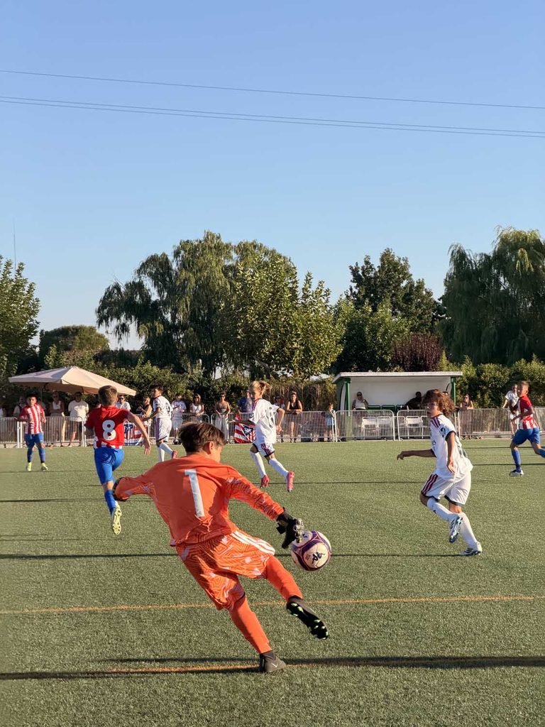 La IV Internacional La Despensa Escalona Cup cierra su primera edición internacional con casi 700 jugadores y un centenar de partidos 6 La IV Internacional La Despensa Escalona Cup cierra su primera edición internacional con casi 700 jugadores y un centenar de partidos