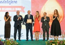 La Feria Apícola de Pastrana recibe la Placa al Mérito de la Provincia por su contribución al desarrollo rural La Feria Apícola de Pastrana recibe la Placa al Mérito de la Provincia por su contribución al desarrollo rural