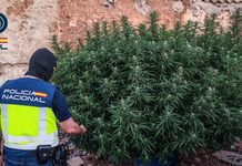 Golpe al menudeo de droga en pleno centro de Puertollano: detenida una pareja que vendía incluso a menores Golpe al menudeo de droga en pleno centro de Puertollano: detenida una pareja que vendía incluso a menores