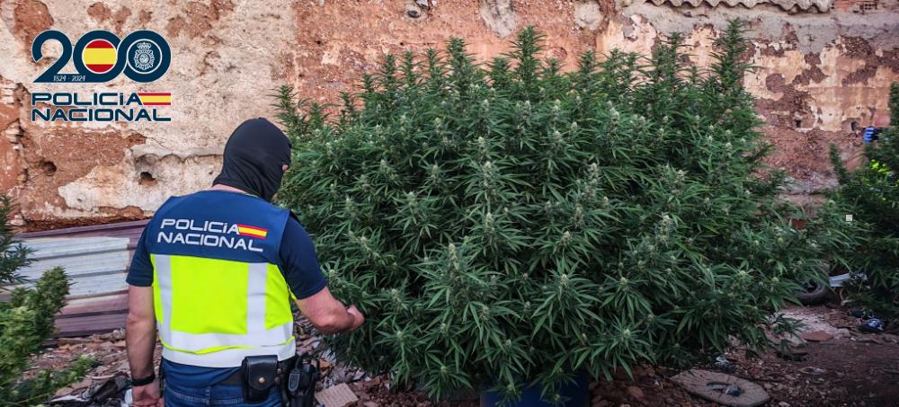 Golpe al menudeo de droga en pleno centro de Puertollano: detenida una pareja que vendía incluso a menores