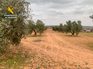 La Guardia Civil detiene a cinco personas por el robo de más de 15.000 kilos de aceituna en Ciudad Real y Toledo La Guardia Civil detiene a cinco personas por el robo de más de 15.000 kilos de aceituna en Ciudad Real y Toledo