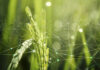 Itecam acogerá en Tomelloso un encuentro empresarial España-Colombia con 15 empresas agroalimentarias colombianas Itecam acogerá en Tomelloso un encuentro empresarial España-Colombia con 15 empresas agroalimentarias colombianas