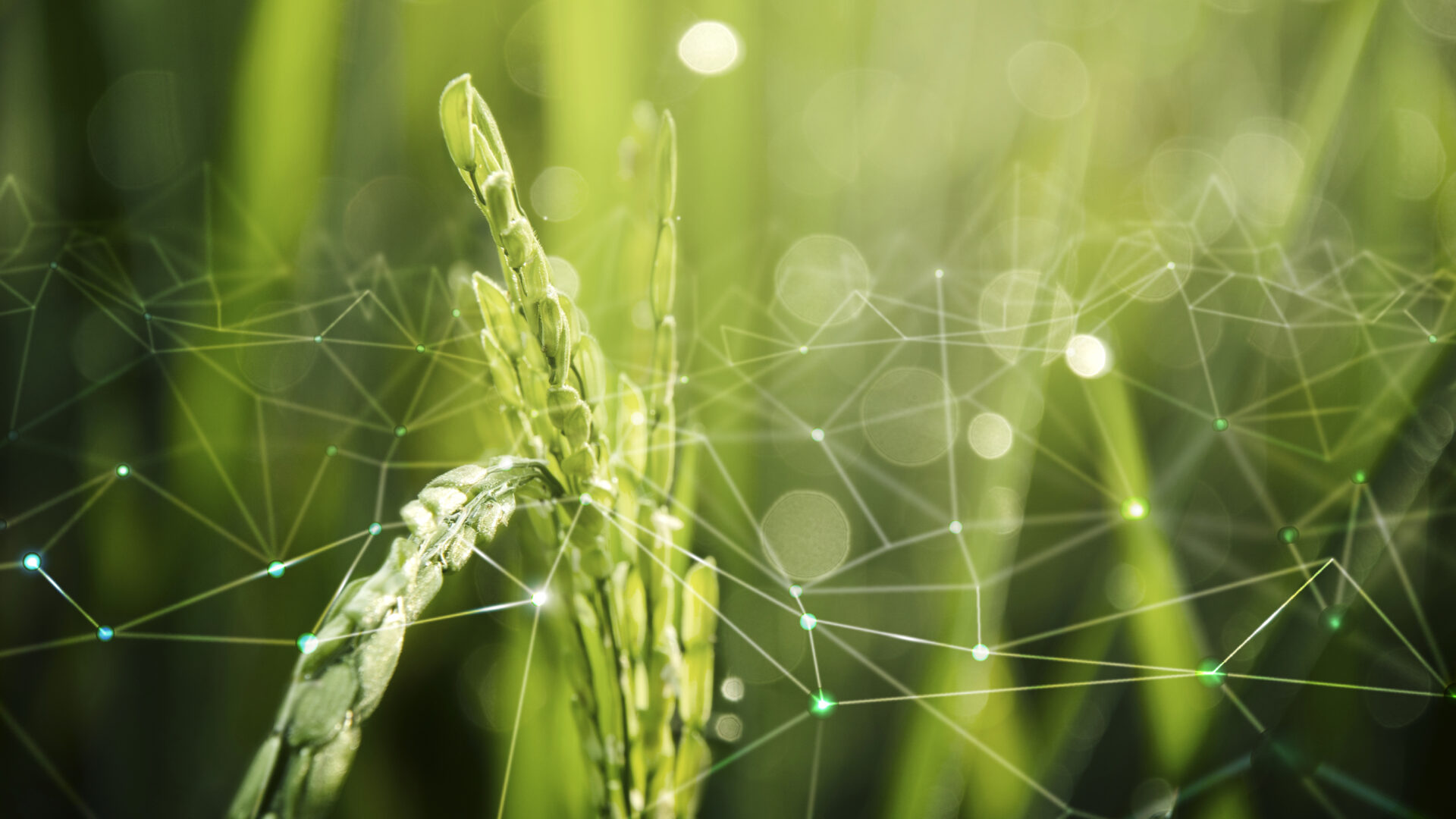 Itecam acogerá en Tomelloso un encuentro empresarial España-Colombia con 15 empresas agroalimentarias colombianas