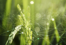 Itecam acogerá en Tomelloso un encuentro empresarial España-Colombia con 15 empresas agroalimentarias colombianas Itecam acogerá en Tomelloso un encuentro empresarial España-Colombia con 15 empresas agroalimentarias colombianas
