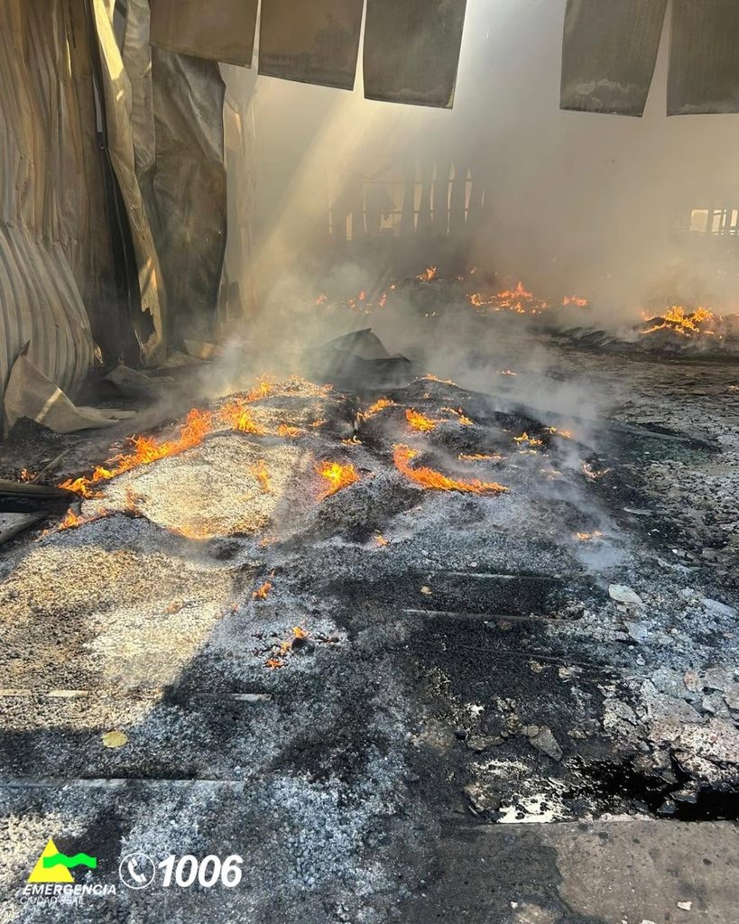 Bomberos de Tomelloso, Alcázar y Manzanares actúan en un grave incendio en Cinco Casas 9 incendio nave cinco casas
