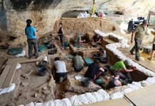 La Malia sigue desvelando la vida de los primeros Homo sapiens en el interior peninsular La Malia sigue desvelando la vida de los primeros Homo sapiens en el interior peninsular
