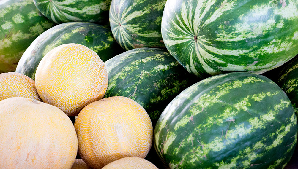 El melón de primera categoría sube 19 céntimos por kilo en la Lonja Hortofrutícola de Castilla-La Mancha
