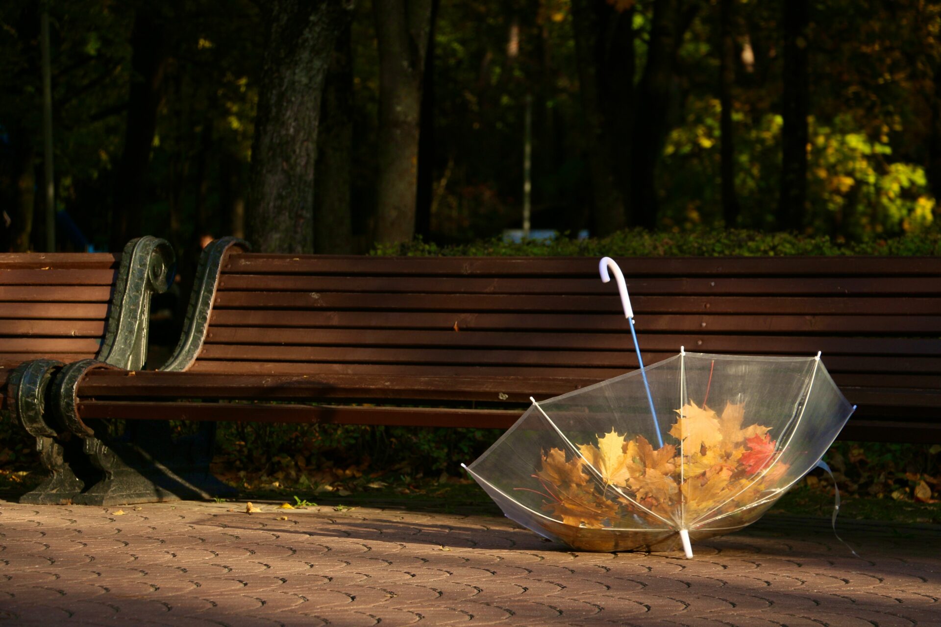 Otoño de caramelo