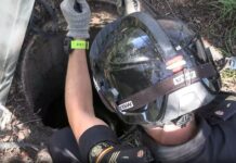 La Policía Nacional activa el dispositivo de seguridad para el Gran Premio de Fórmula 1 La Policía Nacional activa el dispositivo de seguridad para el Gran Premio de Fórmula 1