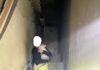Rescatado un gato tras caer a un pozo de unos 8 metros de profundidad en Villarrubia de los Ojos Rescatado un gato tras caer a un pozo de unos 8 metros de profundidad en Villarrubia de los Ojos