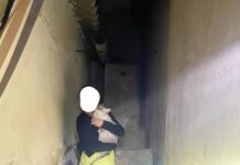 Rescatado un gato tras caer a un pozo de unos 8 metros de profundidad en Villarrubia de los Ojos Rescatado un gato tras caer a un pozo de unos 8 metros de profundidad en Villarrubia de los Ojos