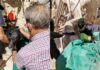 Rescatan a un perro tras caer a un pozo de unos diez metros en Villarrubia de los Ojos Rescatan a un perro tras caer a un pozo de unos diez metros en Villarrubia de los Ojos