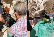 Rescatan a un perro tras caer a un pozo de unos diez metros en Villarrubia de los Ojos Rescatan a un perro tras caer a un pozo de unos diez metros en Villarrubia de los Ojos