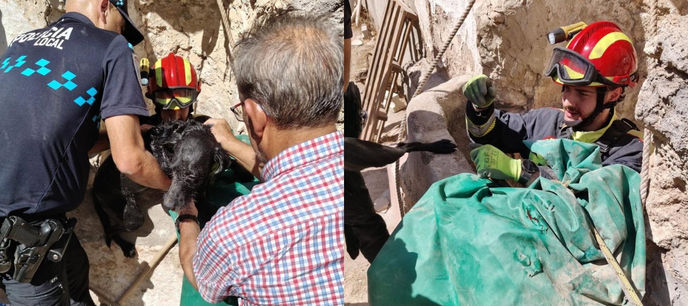 Rescatan a un perro tras caer a un pozo de unos diez metros en Villarrubia de los Ojos