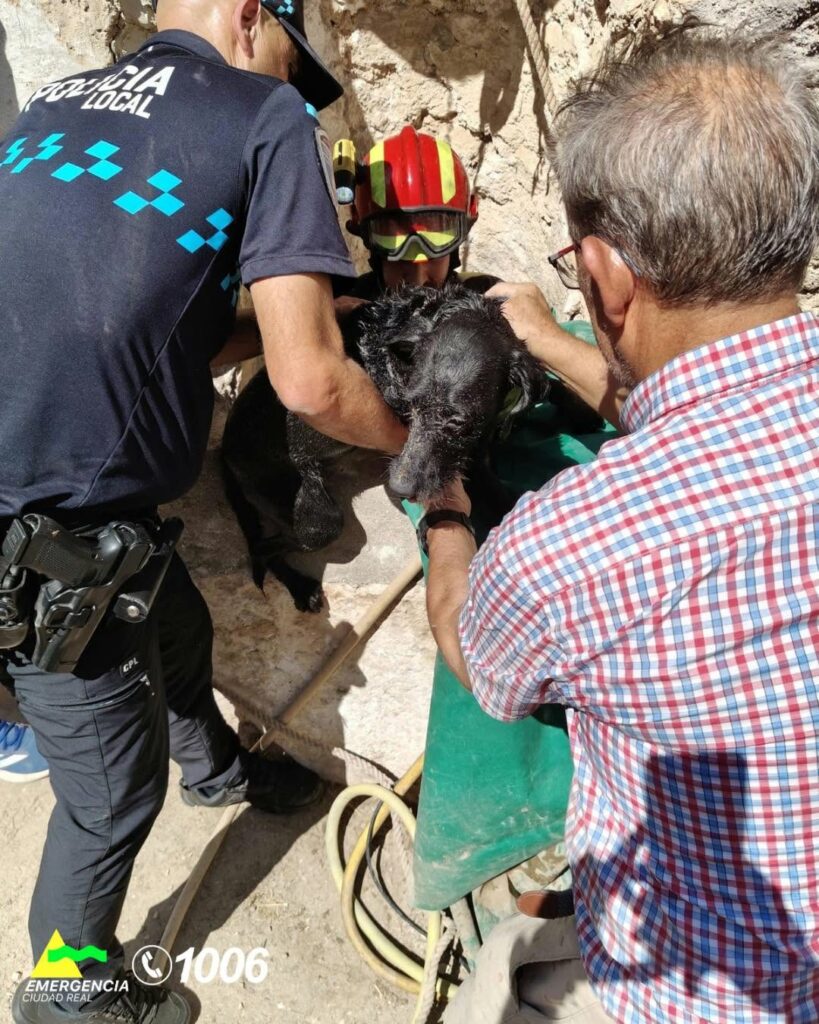 Rescatan a un perro tras caer a un pozo de unos diez metros en Villarrubia de los Ojos 1 Rescatan a un perro tras caer a un pozo de unos diez metros en Villarrubia de los Ojos