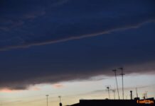 Tomelloso recupera temperaturas más suaves con una máxima prevista de 29 grados Tomelloso recupera temperaturas más suaves con una máxima prevista de 29 grados