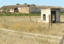 Tomelloso tendrá este martes una máxima de 38 grados en una jornada de sol y calor según AEMET Tomelloso tendrá este martes una máxima de 38 grados en una jornada de sol y calor según AEMET