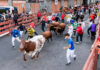 Guadalajara firma un cuarto encierro rápido, limpio y sin incidencias con los toros de Román Sorando Guadalajara firma un cuarto encierro rápido, limpio y sin incidencias con los toros de Román Sorando