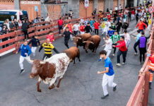 Guadalajara firma un cuarto encierro rápido, limpio y sin incidencias con los toros de Román Sorando Guadalajara firma un cuarto encierro rápido, limpio y sin incidencias con los toros de Román Sorando