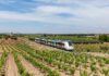 Renfe pone en marcha el Tren de Tomelloso, una experiencia turística para descubrir la cultura, el vino y el patrimonio de la ciudad Tren turístico por Tomelloso