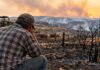 La Unión de Agricultores y Ganaderos de Castilla-La Mancha muestra su indignación ante el límite de 500 hectáreas establecido para acceder a las ayudas por incendios La Unión de Agricultores y Ganaderos de Castilla-La Mancha muestra su indignación ante el límite de 500 hectáreas establecido para acceder a las ayudas por incendios