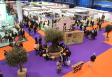 Los Premios WOOE 2027 ya tienen nombre: nueve reconocimientos a quienes impulsan el presente y el futuro del aceite de oliva Los Premios WOOE 2027 ya tienen nombre: nueve reconocimientos a quienes impulsan el presente y el futuro del aceite de oliva