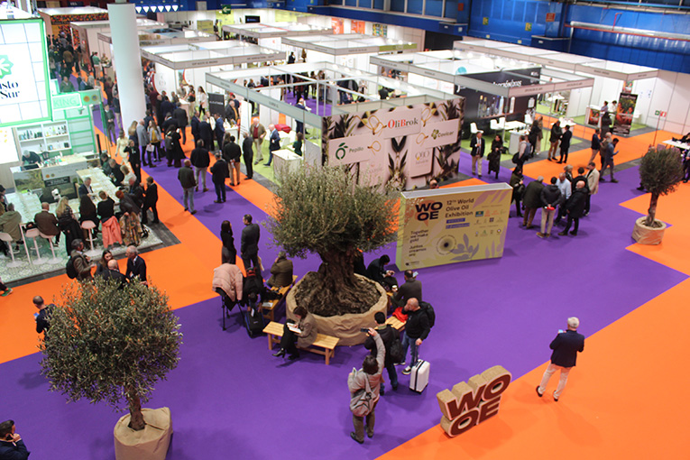 Los Premios WOOE 2027 ya tienen nombre: nueve reconocimientos a quienes impulsan el presente y el futuro del aceite de oliva