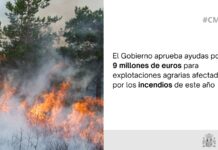 El Gobierno aprueba ayudas por 9 millones de euros para explotaciones agrarias afectadas por los incendios de este año El Gobierno aprueba ayudas por 9 millones de euros para explotaciones agrarias afectadas por los incendios de este año