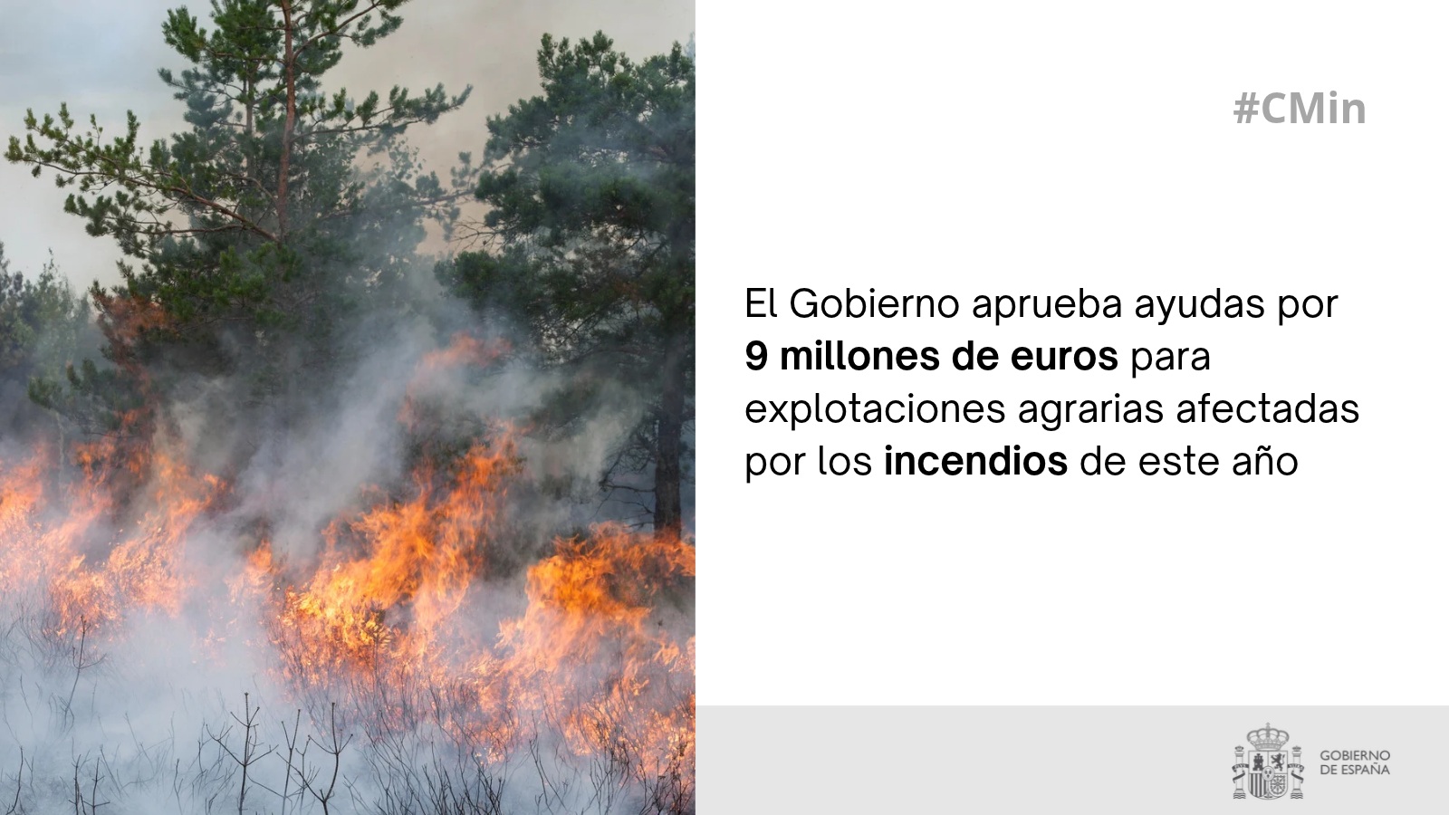 El Gobierno aprueba ayudas por 9 millones de euros para explotaciones agrarias afectadas por los incendios de este año