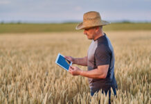 Acelera Pyme Guadalajara acerca la inteligencia artificial al campo con un taller práctico para agricultores Acelera Pyme Guadalajara acerca la inteligencia artificial al campo con un taller práctico para agricultores