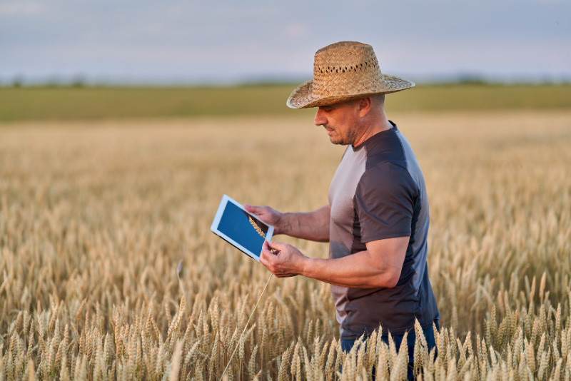 Acelera Pyme Guadalajara acerca la inteligencia artificial al campo con un taller práctico para agricultores