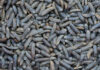 Agroinsecta, un proyecto que utiliza a los insectos para transformar restos de la actividad agraria en abono ecológico Agroinsecta, un proyecto que utiliza a los insectos para transformar restos de la actividad agraria en abono ecológico