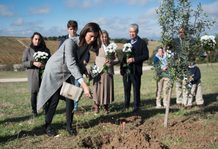 Hay un bosque del recuerdo en España que supera las 1.800 ceremonias funerarias en 2026 Hay un bosque del recuerdo en España que supera las 1.800 ceremonias funerarias en 2026