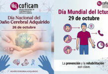 El Daño Cerebral y el Ictus, lesiones que requieren de la fisioterapia para una rehabilitación integral del paciente El Daño Cerebral y el Ictus, lesiones que requieren de la fisioterapia para una rehabilitación integral del paciente