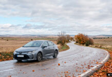 ¿Cómo afecta el otoño a las pastillas de freno de un coche? ¿Cómo afecta el otoño a las pastillas de freno de un coche?