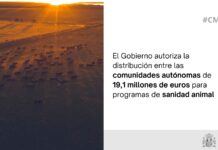 El Gobierno autoriza la distribución entre las comunidades autónomas de 19,1 millones de euros para programas de sanidad animal El Gobierno autoriza la distribución entre las comunidades autónomas de 19,1 millones de euros para programas de sanidad animal