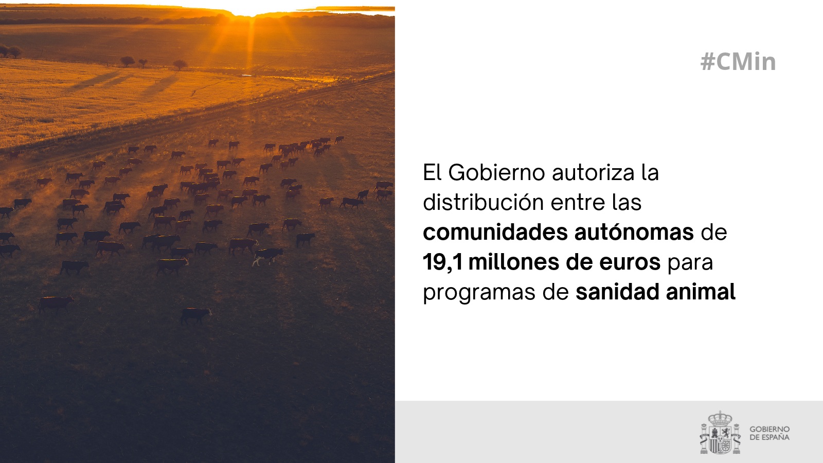 El Gobierno autoriza la distribución entre las comunidades autónomas de 19,1 millones de euros para programas de sanidad animal