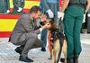 La Guardia Civil celebra el día de su patrona con la entrega de 22 condecoraciones al mérito militar y al mérito de la Guardia Civil La Guardia Civil celebra el día de su patrona con la entrega de 22 condecoraciones al mérito militar y al mérito de la Guardia Civil