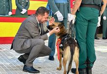 La Guardia Civil celebra el día de su patrona con la entrega de 22 condecoraciones al mérito militar y al mérito de la Guardia Civil La Guardia Civil celebra el día de su patrona con la entrega de 22 condecoraciones al mérito militar y al mérito de la Guardia Civil
