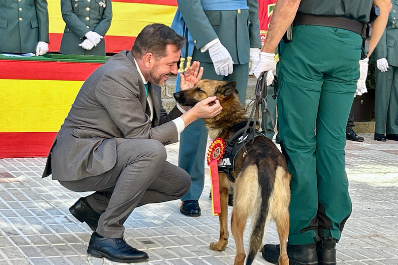 La Guardia Civil celebra el día de su patrona con la entrega de 22 condecoraciones al mérito militar y al mérito de la Guardia Civil 2 guardia civil dia nacional ciudad real 1
