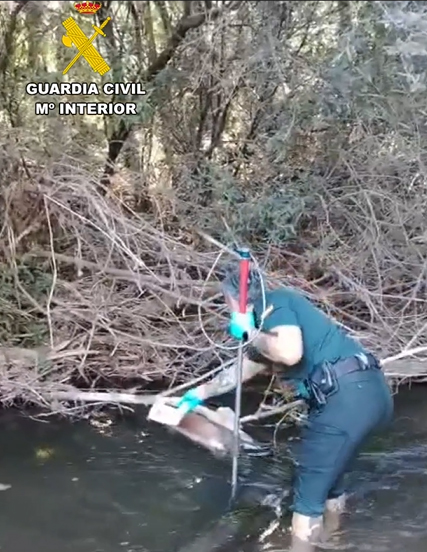 Investigan a un hombre de 67 años por matar presuntamente a su perro de un fuerte golpe en la cabeza en Guadalajara