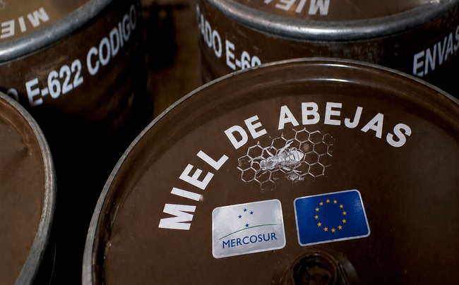 Unión de Uniones alerta de que las importaciones de miel de Mercosur se han prácticamente duplicado en los tres primeros meses del acuerdo