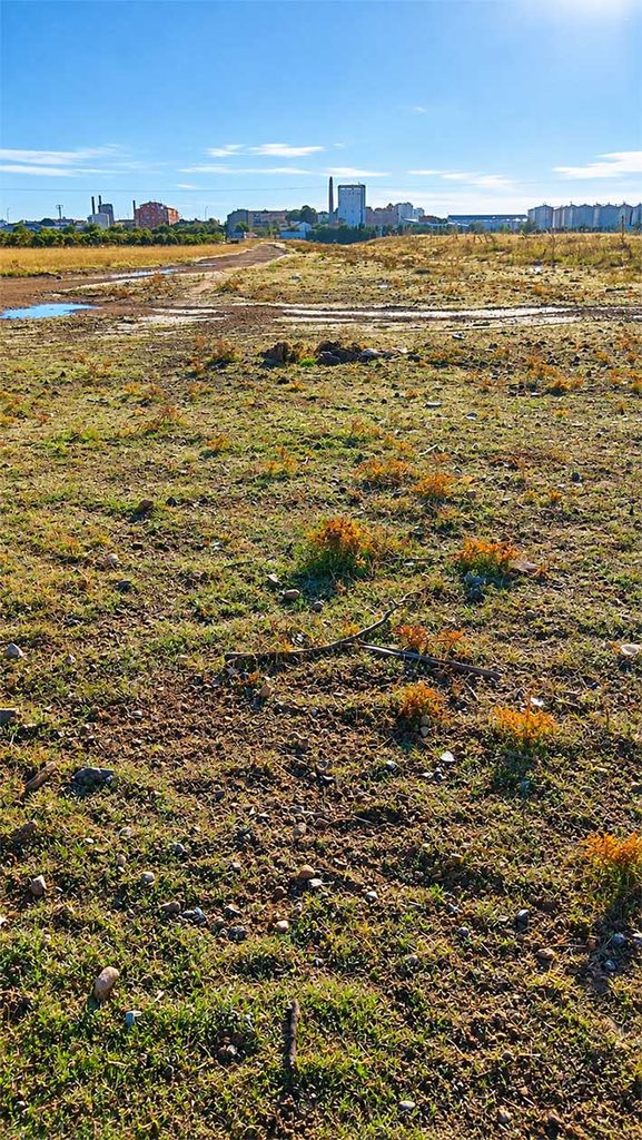 recuperar antiguo ramal tomelloso 7