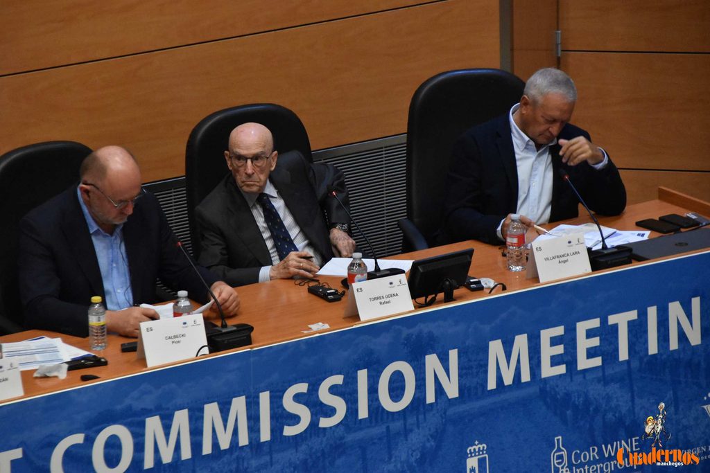 La Cooperativa Virgen de las Viñas sitúa a Tomelloso en el centro del debate europeo sobre el futuro del vino 15 sextareunion intergrupo del vino 25