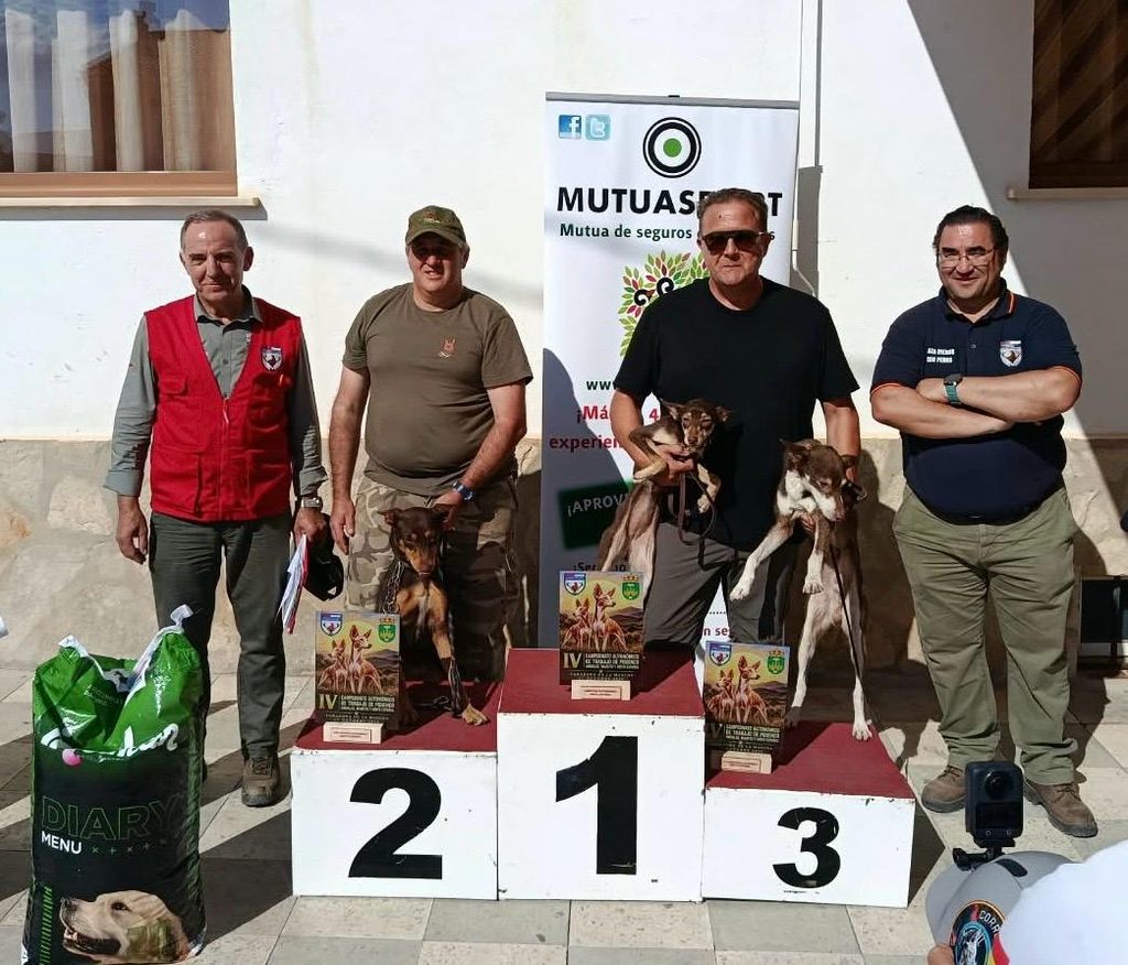 tarazonadelamanchapodencoandaluz 1024x876 1