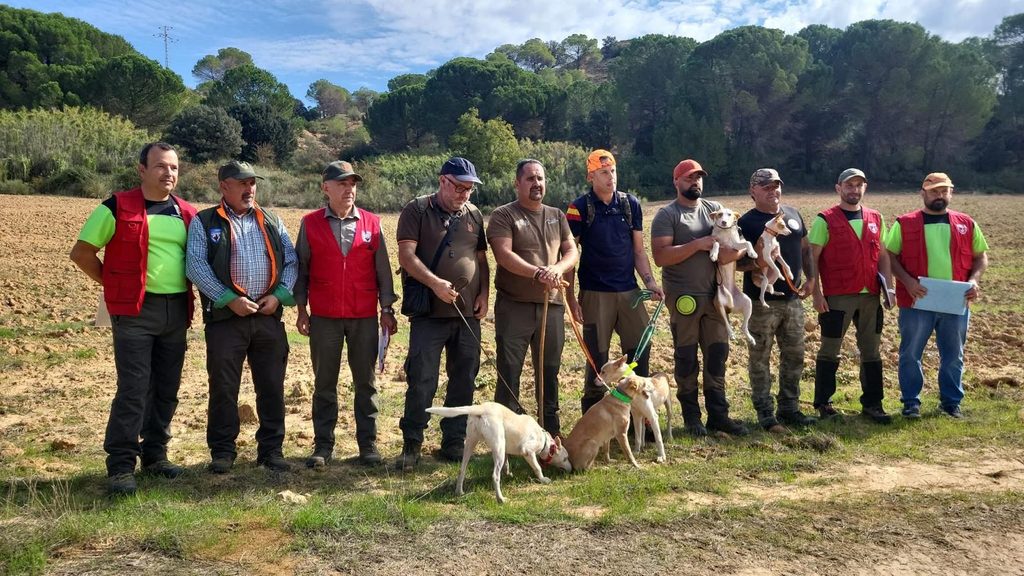 Tarazona de la Mancha re&uacute;ne a 22 perros en el Campeonato Auton&oacute;mico de Podenco Andaluz, Orito Espa&ntilde;ol y Maneto