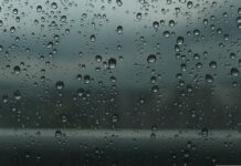 La lluvia se extiende por Castilla-La Mancha: Albacete llegará a 25 ºC y Toledo a 24 ºC La lluvia se extiende por Castilla-La Mancha: Albacete llegará a 25 ºC y Toledo a 24 ºC